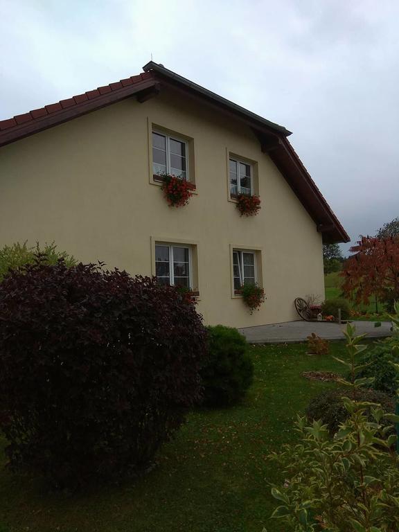 Apartmany Pod Lesem Bohutin  Exterior photo
